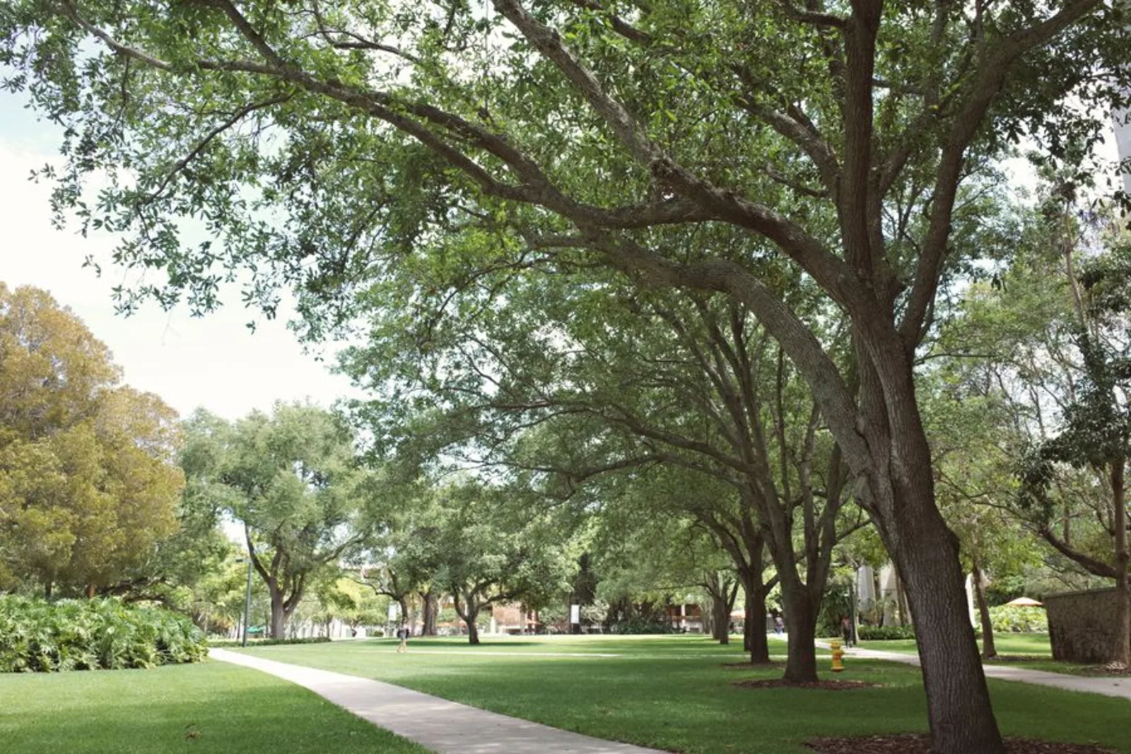 University campus building